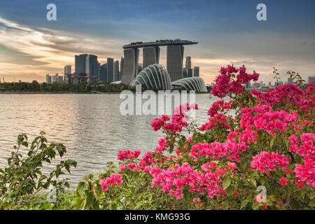 Lo skyline di Singapore si vede attraverso il Marina Bay, con una rosa ad arbusto a fioritura. focus sul primo piano. Foto Stock