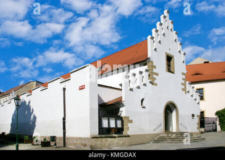 Plzen, Repubblica ceca - circa agosto - mercato di carne (ovest Galleria Boemo) nel mese di agosto 2013 nella città di Plzen, west bohemian region, Repubblica ceca. plzen e Foto Stock