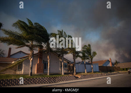 Santa Paula, California, Stati Uniti. 5 dicembre 2017. I venti continuano a rimanere forti durante l'incendio di "Thomas" a Santa Paula, California. Crediti: Morgan Lieberman/ZUMA Wire/Alamy Live News Foto Stock