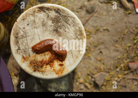 . La flora e la fauna, Laldighi Dalhousie. Laldighi situato a BBD Bagh è un enorme stagno nel cuore di Kolkata e devono viaggiare. Credito: cuty/Alamy Live News Foto Stock