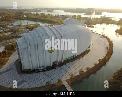 Sihong. 9 dicembre 2017. La foto scattata il 9 dicembre 2017 mostra l'acquario a forma di pesce nell'area panoramica della zona umida del lago Hongze nella contea di Sihong, nella provincia cinese di Jiangsu. L'acquario misura 99 metri di lunghezza, 26 metri di altezza e 18 metri di larghezza. Crediti: Xu Changliang/Xinhua/Alamy Live News Foto Stock