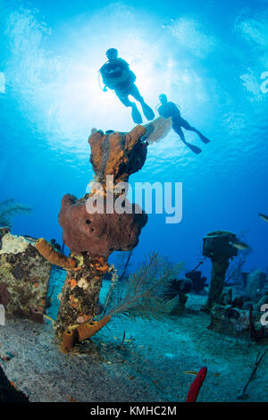 I subacquei sul relitto dell'oro verde, Grand Cayman Foto Stock