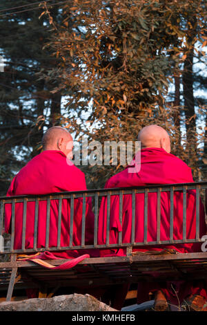 Due monaci buddisti tibetani seduto Foto Stock