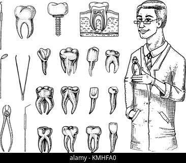 I denti molari di smalto dentale, impostare. strumenti attrezzatura del dentista medico. la cavità orale pulire o malati. salute o carie umano. incisi disegnati a mano nel vecchio o schizzo. medicina, cura per cavità, impianto Illustrazione Vettoriale