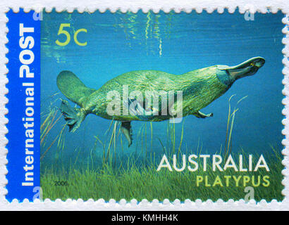 GOMEL, BIELORUSSIA, 5 DICEMBRE 2017, Stamp stampato in Australia mostra l'immagine del Platypus, circa 2006. Foto Stock