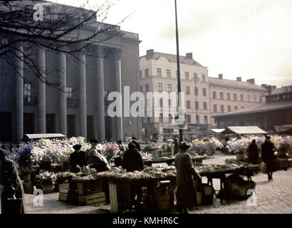 Il centro di Stoccolma, conosciuto come "Stockholms innerstad", è il cuore storico e culturale di Stoccolma, Svezia. L'area è ricca di monumenti architettonici, musei e siti storici, rendendola una destinazione di primo piano sia per i turisti che per la gente del posto. Foto Stock