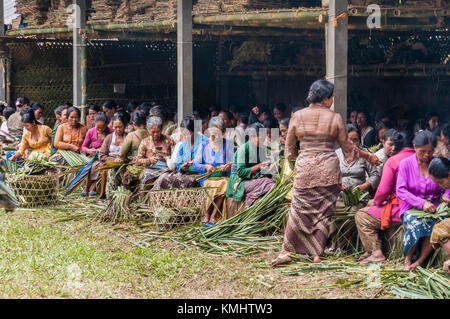 Donne nel villaggio di Tegalalang, che fanno cestini per portare offerte in un tradizionale rituale di cremazione comune, Tegalalang, Gianyar, Bali, indonesi Foto Stock