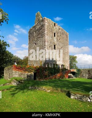 Cardoness Castle, Gatehouse of Fleet, Dumfries and Galloway regione, Scozia. Xv C. casa torre dei McCullochs di Galloway Foto Stock