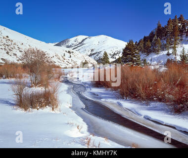 Poco ficodindia creek in inverno vicino a silver city, montana Foto Stock