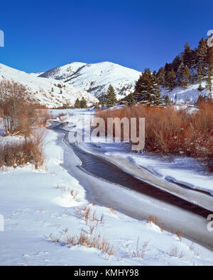 Poco ficodindia creek in inverno vicino a silver city, montana Foto Stock