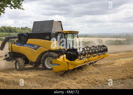 New Holland Twin Rotor trebbiatrice mietitrebbia la mietitura del frumento nei pressi di Hucknall, Nottingham, Inghilterra, Regno Unito Foto Stock