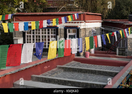 Più la preghiera buddista bandiere alta al Norbulingka Istituto vicino dharamshala, India. Foto Stock