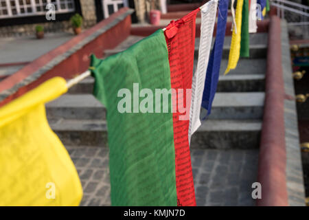 Più la preghiera buddista bandiere alta al Norbulingka Istituto vicino dharamshala, India. Foto Stock