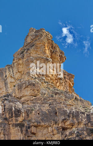 Frastagliate pinnacolo di roccia del Bighorn un picco di montagna lungo il Big Horn Scenic Byway in prossimità del mantello Creek nel Wyoming Foto Stock