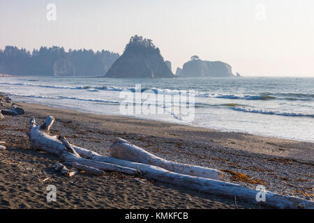 Riatlo spiaggia dell'Oceano Pacifico nel Parco Nazionale di Olympic nella costa dello Stato di Washington negli Stati Uniti Foto Stock