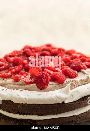 Lamponi sulla crema riempiti a strati torta al cioccolato. Foto Stock