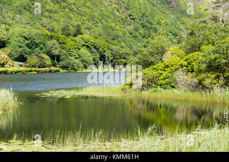 Paesaggi dell'Irlanda. Connemara nella contea di Galway, Pollacappul lago Foto Stock