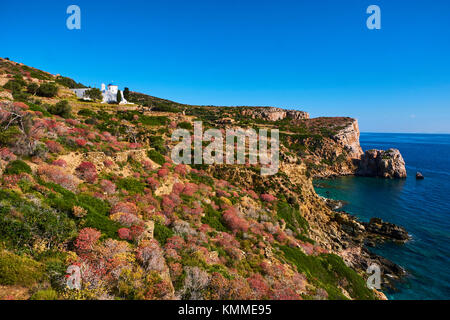 Grecia CICLADI, SIFNOS, Panagia Poulati monastero Foto Stock