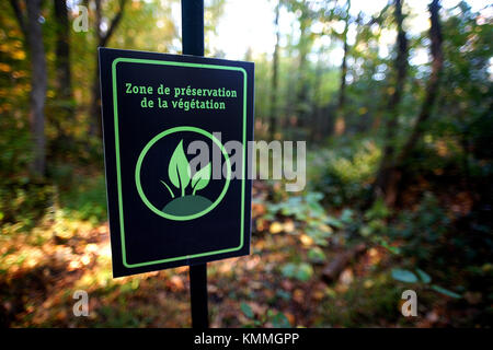 Laval, Canada,12 ottobre 2017.Per la protezione della vegetazione nel segno di una foresta protetta.Credit:Mario Beauregard/Alamy Live News Foto Stock