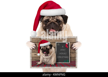 Carino natale sorridente pug cane con santa hat, tenendo su biglietto di auguri con selfportrait, isolato su sfondo bianco Foto Stock