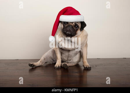 Natale cute pug cucciolo di cane che indossa santa claus hat, seduto sul pavimento in legno Foto Stock