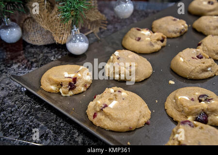 Il cioccolato bianco e cranberry cookies sulla teglia con ornamenti di vacanza Foto Stock