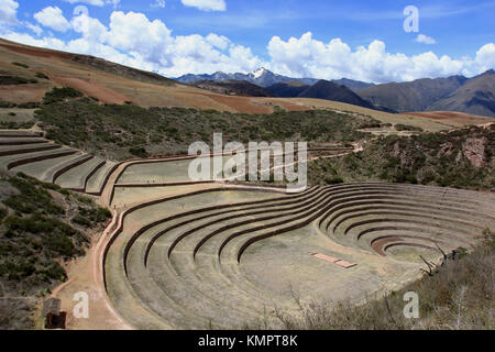 Maras ( Perù) Novembre, 24 TH 2015; sito archeologico di Moray. Moray è stata un laboratorio agricolo, costituito da tre terrazze concentriche, che ha consentito di avere differenti microclima con depththey sono stati utilizzati dagli Incas per studiare e acclimatare piante per l'agricoltura. Credito: Sebastien Lapeyrere/Alamy Live News.aclimatados para la agricultura. Foto Stock