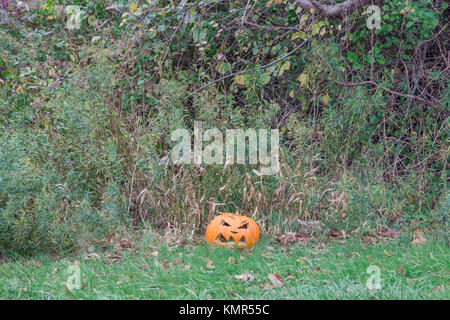 Scartata la zucca di Halloween la posa sul lato della strada a Montauk, NY Foto Stock