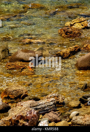 Colorate fossilizzato tronchi di alberi in mare dall'UNESCO Geopark 'Foresta Pietrificata di Sigri' sull'isola di Lesbo in Grecia Foto Stock