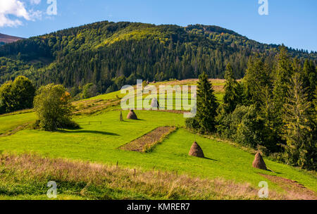 Haystacks on Grassy sapere nelle belle giornate estive. splendido paesaggio di campagna con montagne in lontananza Foto Stock