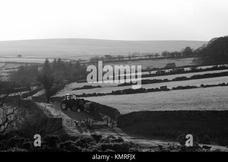 Il contadino gli agricoltori trattore del cane e pecore Dartmoor Foto Stock