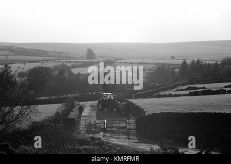 Il contadino gli agricoltori trattore del cane e pecore Dartmoor Foto Stock