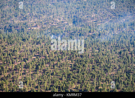 Vista aerea da un piano di fumo aumenta da un bushfire di partenza in una foresta presso il Parco Nazionale del Grand Canyon dal South Rim Foto Stock