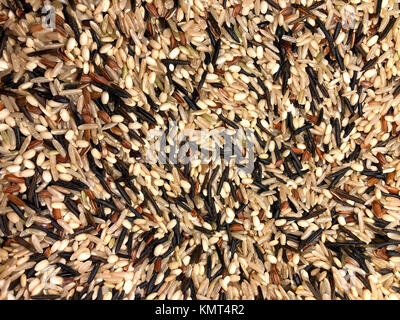 Texture di sfondo di Organic Wild Blend di riso Foto Stock