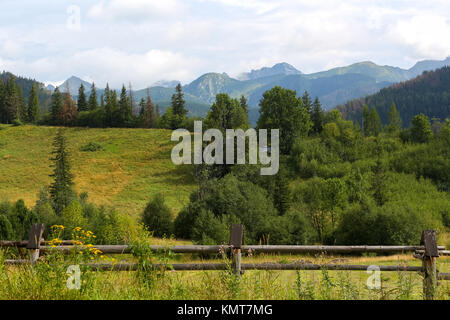 Vista dei monti Tatra e la campagna circostante la città di Zakopane in Polonia. Vi sono prati e alberi e la recinzione di legno che può b Foto Stock