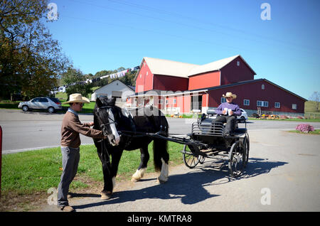 Giovani uomini Amish e loro open-top buggy fuori agriturismo nei pressi di Hershberger's Farm & Bakery nr Millsersburg, Ohio, Stati Uniti d'America Foto Stock