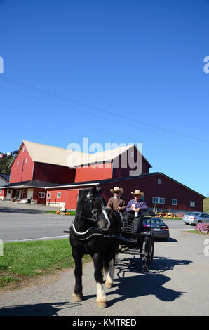 Giovani uomini Amish e loro open-top buggy fuori agriturismo nei pressi di Hershberger's Farm & Bakery nr Millsersburg, Ohio, Stati Uniti d'America Foto Stock