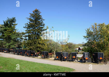Fila di Amish buggies parcheggiata fuori Farmerstown asta di bestiame, Ohio, Stati Uniti d'America. Foto Stock