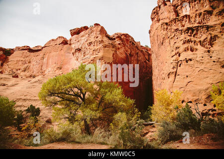 Red formazioni rocciose off della Burr Trail in grande scala-Escalante monumento nazionale Foto Stock