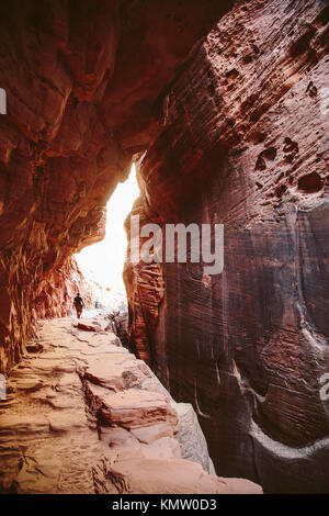 Un escursionista cammina su un percorso di roccia all'interno di un canyon con rosso strette pareti di roccia a Zion National Park nello Utah. Foto Stock