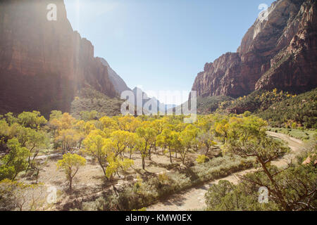 Una vista di Zion Canyon e il fiume vergine a Zion National Park nello Utah in autunno. Foto Stock