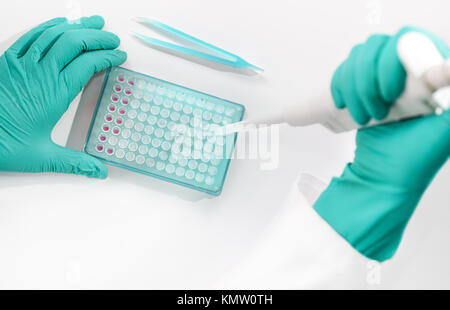 Mani in guanti assemblare la reazione di PCR per l'analisi del DNA Foto Stock