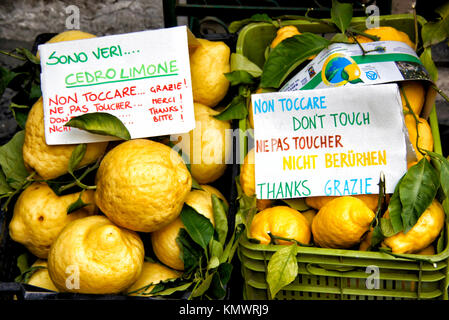 Limoni gigante sul display e per la vendita nel mercato all'aperto, Almafi, Italia. Foto Stock