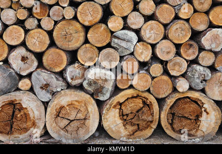 Legname segato raccolti nella woodpile, sfondo Foto Stock