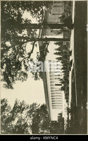 'American municipal progressi" (1916) Foto Stock