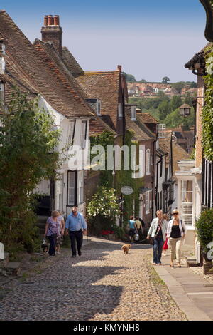 Cittadina inglese di segala Foto Stock