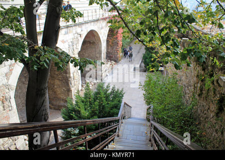 Il Castello di Buda motivi Foto Stock