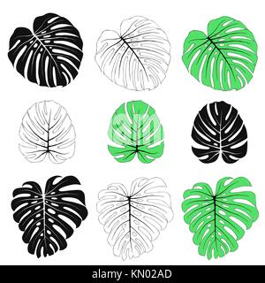 Foglie di monstera impostato Illustrazione Vettoriale