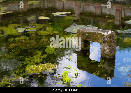 Stone si riflette nelle sacre acque del tempio piscina, Pura Tirta Empul Temple, Bali, Indonesia Foto Stock