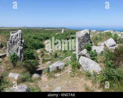 Chun Castello, Chun Downs Riserva Naturale, North Cornwall, Inghilterra, Regno Unito in Junef Foto Stock